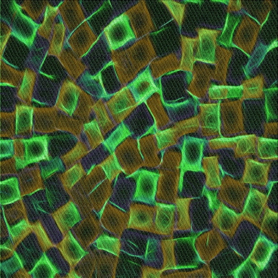 Ahgly Company Machine Washable Indoor Square Transitional Dark Lime Green Area Rugs, 6' Square