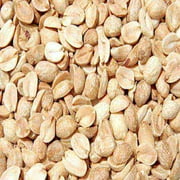 Bulk Roasted And Salted Peanuts 5 Pound Wholesale Box - Free Shipping