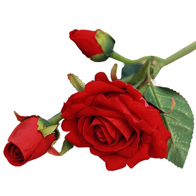 Cateissary Bricolaje hogar boda decoración rosa tela de seda flores artificiales flor de simulación Type10 NO10 Cateissary JJ5101-04