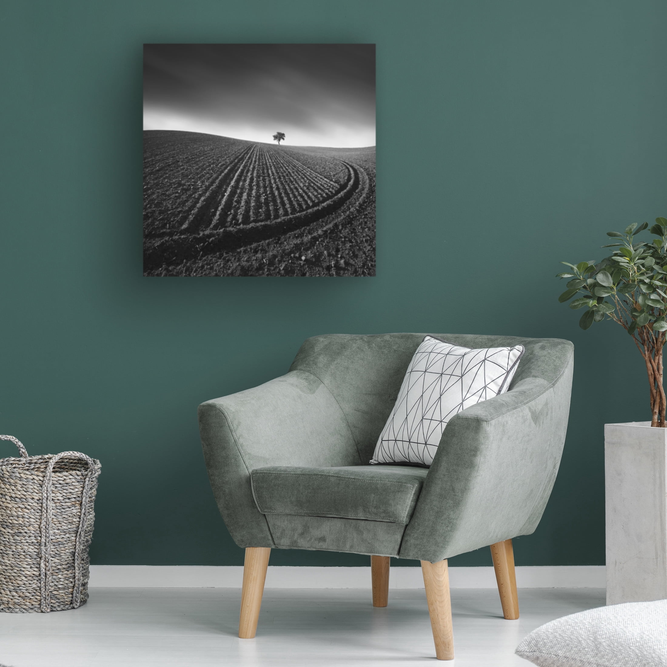 Trademark Fine Art Tomas Tison Radius Canvas Wall Art