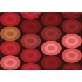 thumbnail image 1 of Ahgly Tapis Rectangulaire Rouge Lavable en Machine, 2 Pieds x 3 Pieds, 1 of 7
