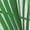 NZ022, variant on Palm Leaf Realistic Vivid Leaves of Palm Tree Women's Tank Dress V Neck Sleeveless Summer Sundress