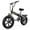 EK5-black, variant on DriftGod Folding Ebike, 48V20AH Removable Battery, Long Range, 20" Fat Tire for Adults, Dirt Sand All Terrain Commuter