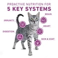 thumbnail image 4 of Purina ONE Plus Whole Body Support With Chicken Dry Cat Food, 16 lb., 4 of 8