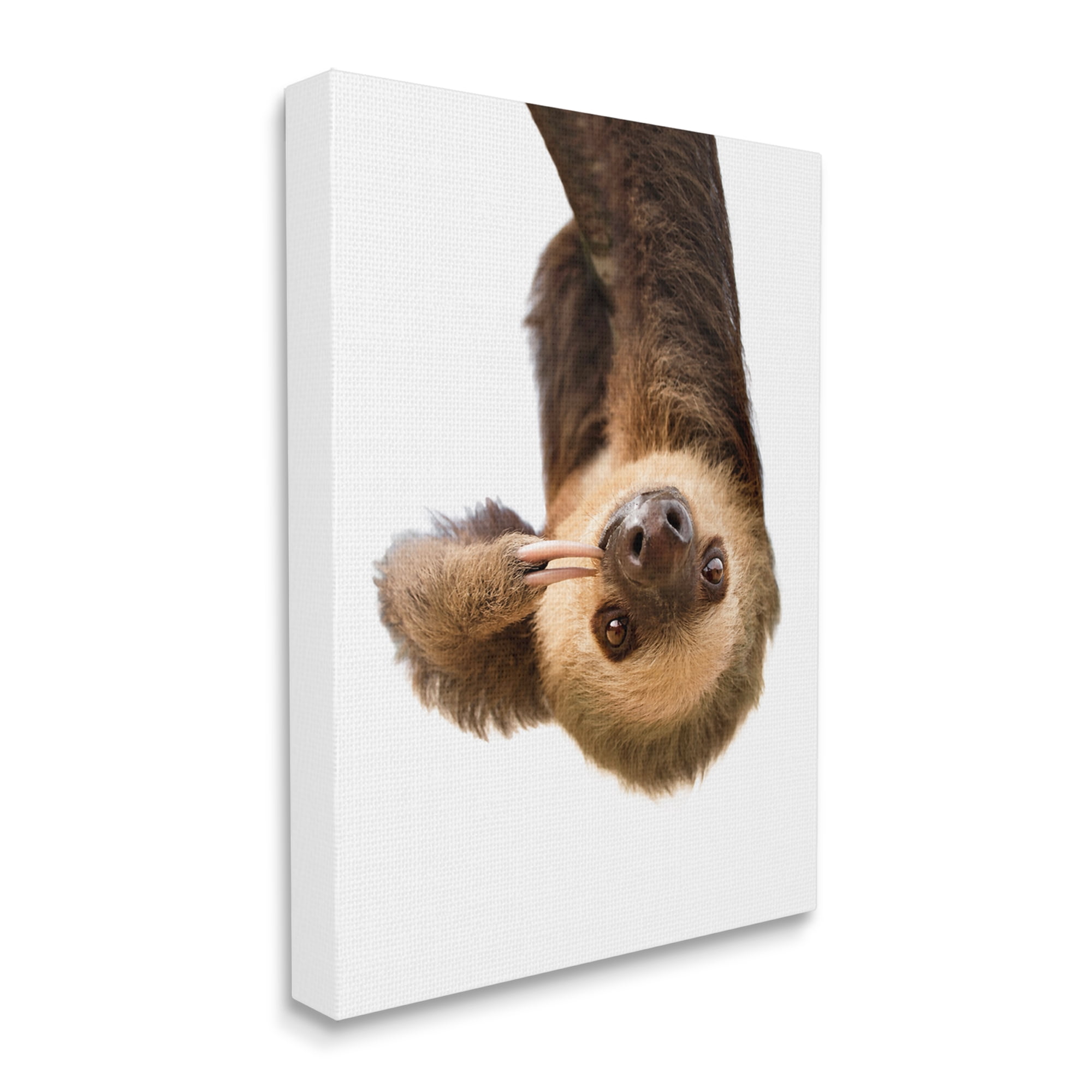 Stupell Industries Upside-down Sloth Portrait Animals & Insects Painting Gallery Wrapped Canvas Print Wall Art, 16 x 20