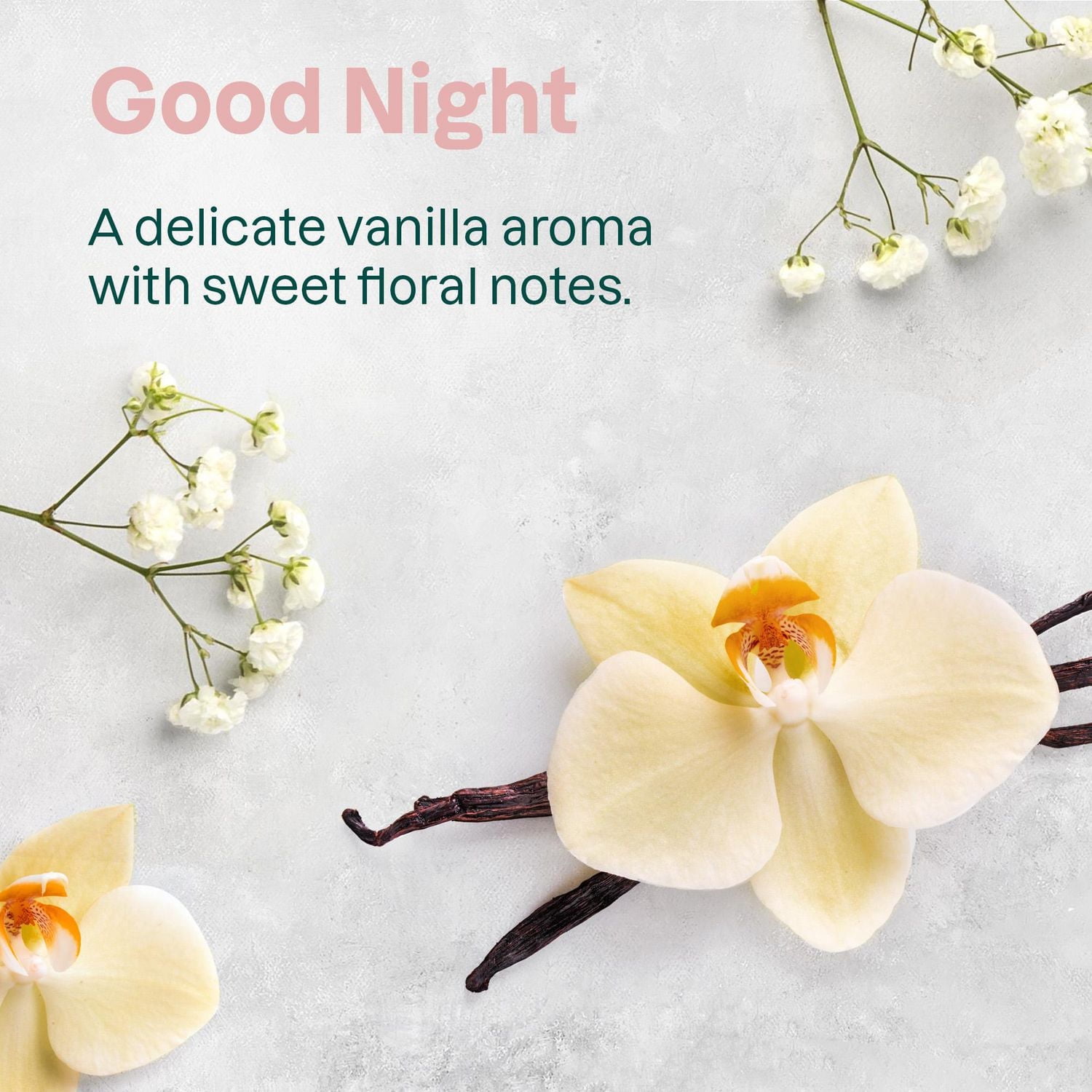 ATTITUDE baby leaves, Shampoo & Body Wash, Good Night