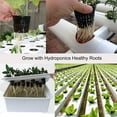 thumbnail image 3 of Mesh Plant Cups, Reusable Plastic Uniform Drainage Water Planting Basket 12PCS  for Soilless Cultivation, 3 of 8