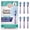 Lavender, variant on GuruNanda Lion & Lamb 2.0 Replacement Brush Head (Pack of 6), Round-Ended, Soft Dupont Bristles to Help with Plaque Control, BPA-free- White