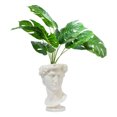 thumbnail image 1 of Maceta Tipo David Decorativa Impremli, 1 of 7