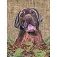 thumbnail image 1 of Carolines Treasures SC9039GF Labrador Flag - Garden Size, 1 of 3