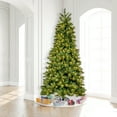 thumbnail image 5 of Vickerman 9' x 57" Brighton Pine Artificial Christmas Tree with Warm White Dura-lit LED Lights, 5 of 5