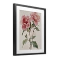 thumbnail image 3 of Stupell Industries Watercolor Roses Pink Floras Black Framed Print Under Glass, design by Petal Prints Design, 3 of 9