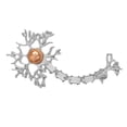 thumbnail image 1 of Broche de Tejido Nervioso, Joyería, , Insignia, Bolsa, de Enfermera, Trajes, Decoración , Plata, tal se describe Fernando Broche de tejido nervioso, 1 of 6