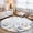 Light Blue, variant on 5'x7' Area Rugs, Pumpkins Fall Indoor Outdoor Area Rug for Living Room Bedroom, Thanksgiving White Blue Grey Wooden Coastal Washable Bathroom Rugs Kitchen Floor Carpet Mats Home Decor Aesthetic