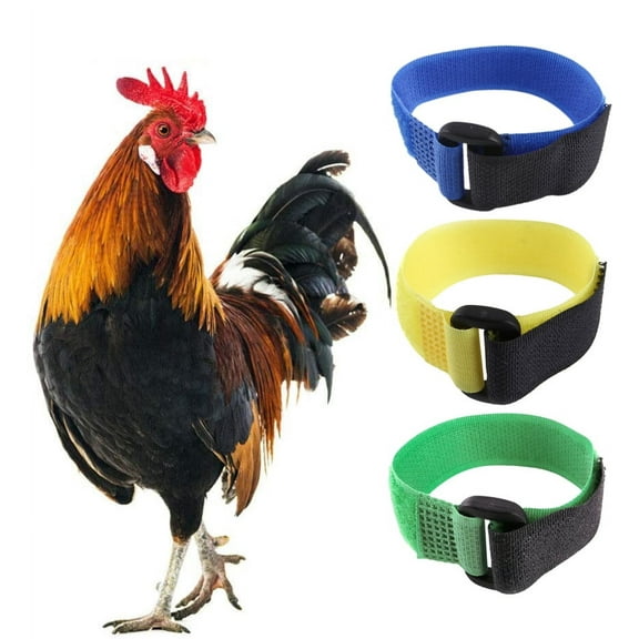 Walbest 2Pcs No Crow Rooster Collar, Chicken Collar Anti-Hook Noise Free Neckband No Crow Noise Neck Belt for Roosters, Prevent Chickens from Screaming, Disturbing Neighbors