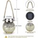 thumbnail image 2 of Solar Lanterns Outdoor, 2 Pack Hanging Solar Garden Lanterns with 30 LED, 2 of 5