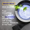 thumbnail image 5 of Good Dye Young Tinte para el cabello semipermanente en Killswitch Grey - Protección UV Acondicionador temporal del color del cabello Sin PPD Vegano Sin crueldad Dura entre 15 y 24 lavados, 5 of 5
