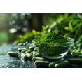 thumbnail image 3 of Moringa Tree Seeds for Growing - Grow Moringa Seeds to Eat - Moringa Plant Tree Seedlings - The Tree of Life, Moringa Oleifera (100 Seeds), 3 of 5