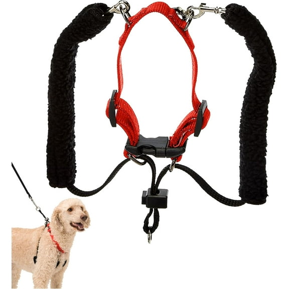 Sporn Training Dog Halter, Red, Large (16-24" Neck Size)