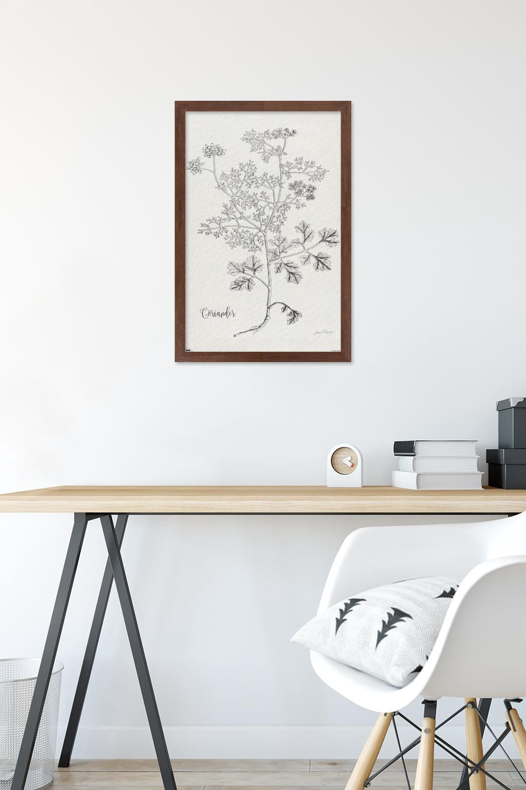 Jean Plout - Botanical Studies on Paper Coriander Wall Poster, 14.725" x 22.375" Framed