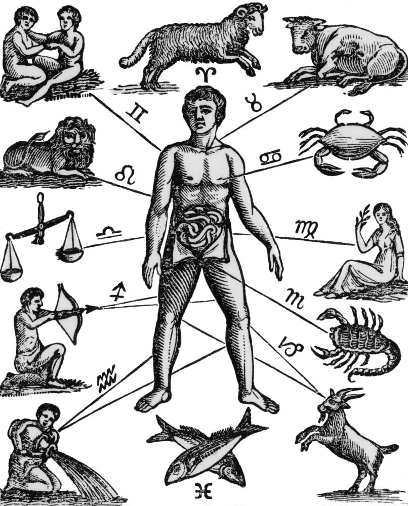 Zodiac Man Drawing Relating Astrology Moon Signs To Various Parts Of