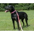 thumbnail image 3 of Country Brook Design&reg; Deluxe Nylon Dog Collar and Leash, 3 of 7