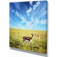 thumbnail image 2 of Antelopes Wandering under Bright Sky - African Canvas Art Print, 2 of 3