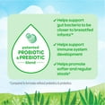thumbnail image 4 of (2 pack) Happy Baby Stage 2 Powder Baby Formula, 6-12 Months, 22.9 oz Canister, 4 of 12