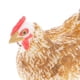 thumbnail image 4 of Estatuilla de Animales de Granja Baoblaze Modelo Juguete Fiesta Bolsa Rellenos 5 x 2.5 x 5cm, 4 of 8