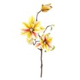 thumbnail image 1 of Ramo de flores de simulación de rama de flores artificiales de 3 cabezas con hojas Decoración floral de oficina en casa, marrón Eigraketly HA7281-05B, 1 of 6
