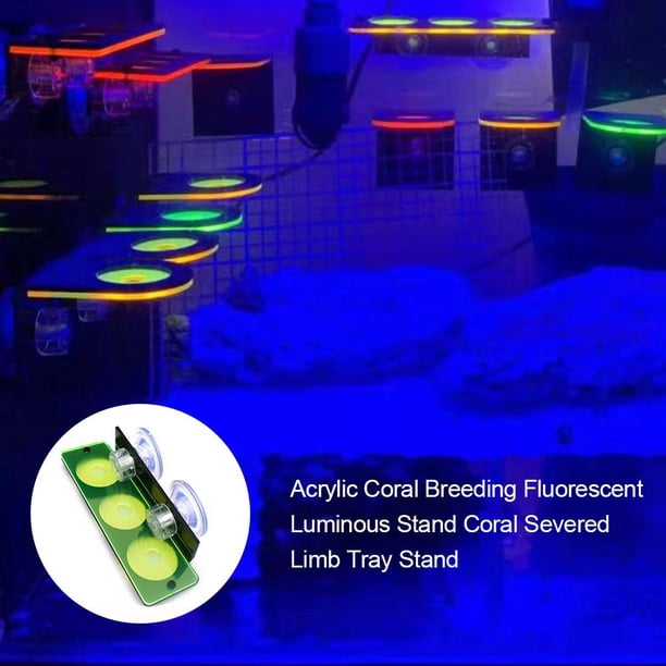 Tanque de peces Fluorescencia Coral Frag Rack Acuario Arrecife con soporte de enchufe (Verde) Likrtyny Oficina Multiescena Multifunción