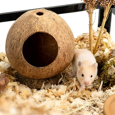 Coconut Shell House For Hamsters Raw Coco Husk Pet Hiding House Climber Or Chew Toy For Mice Rats Gerbils Walmart Canada