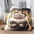thumbnail image 1 of Couverture Ragdoll Chat Persan Calico Chat Garfield Couverture Douce pour Maison Chambre Lit Canapé Couverture Enfants, 1 of 7
