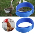 thumbnail image 3 of DOLITY 3X 2x Anti Crow Collar Neck Belt Chicken Collar for Disturbing Neighbor, 3 of 7
