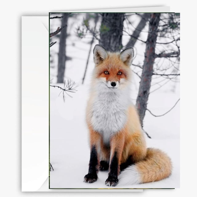 Tarjeta de felicitación 90210 Exotics Mystic Red Fox, grande, 13 x 18 cm