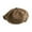 Brown, variant on CxhicLuv Men's Vintage Beret Hat 24-24.8 Inch Washed, Sun-Protective, Breathable – Octagonal Newsboy Cap for Outdoor Use, Ideal for Running, Hiking, Daily Wear, Suitable for Men, Outdoor Fans, Black