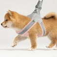 thumbnail image 3 of The Saddle Shaped Reflective Dog Leash Is Compatible With And Playable Straps For Walking Training And Night Strong Dog Chain Strong Dog Leash for Large Dogs Chew Proof Training Leash for Small Dogs, 3 of 3