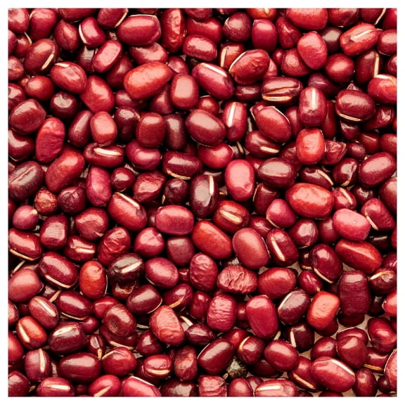 Everwilde Farms - 1/4 lb Small Red Dry Bean Seeds - Gold Vault Bulk Seed Packet