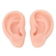 thumbnail image 3 of Modelo De Oreja Silicona Para Práctica De Perforación De Orejas, Accesorios De Exhibición De Aretes, Modelo De Oreja De Simulación Y Flexible, 3 of 7