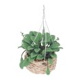 thumbnail image 2 of Miniature Bonsai, Mini Potted Plant Small Portable Vivid Lifelike  For Gift For Children For Toys For Decoration, 2 of 8