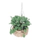 thumbnail image 2 of Plantas de casa de Muñecas ANGGREK 1:12 Ramos de Mano de Obra Exquisita, 2 of 8