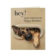 thumbnail image 1 of Interesting Dog Birthday Card: Pet Theme Birthday Greeting Card, 1 of 9