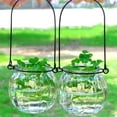 thumbnail image 3 of 6 maceteros colgantes de vidrio transparente para plantas de interior, jarrones hidropónicos de pared para decoración del hogar, plantas de aire y propagación, 3 of 7