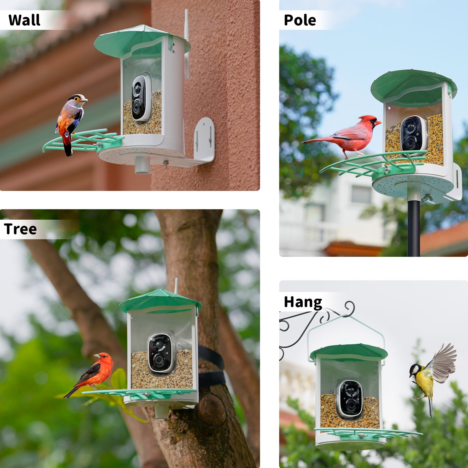 Birdkiss Smart Bird Feeder - 10K+ Birds Recognized by AI Bird Camera! –  BirdKiss