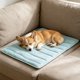 thumbnail image 4 of Alfombrilla refrescante para perros y gatos, de tela de seda de hielo transpirable, lavable, base antideslizante, múltiples tamaños para clima cálido y todas las estaciones., 4 of 6