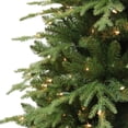 thumbnail image 3 of CC Christmas Decor Pre-lit Medium Galveston Fir Artificial Christmas Tree - 7.5’ - Clear Lights, 3 of 3