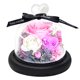 thumbnail image 1 of Decoración de flores eternas, tres rosas, amor, cubierta de vidrio, flores secas, regalos navideños, regalos de cumpleaños para familiares y amigos, 1 of 5