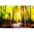 thumbnail image 2 of Hausenflock, Alan 14x11 Black Ornate Wood Framed with Double Matting Museum Art Print Titled - Autumn Impressions IV, 2 of 4