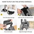 thumbnail image 4 of Dog Sling For Large Dogs Hind Leg Support To Help Rehabilitate The Hind Limbs Of Elderly Dogs With W, 4 of 5