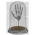 thumbnail image 2 of Fab Funky 12x14 Black Ornate Wood Framed with Double Matting Museum Art Print Titled - Skeleton Hand In Bell Jar, 2 of 4